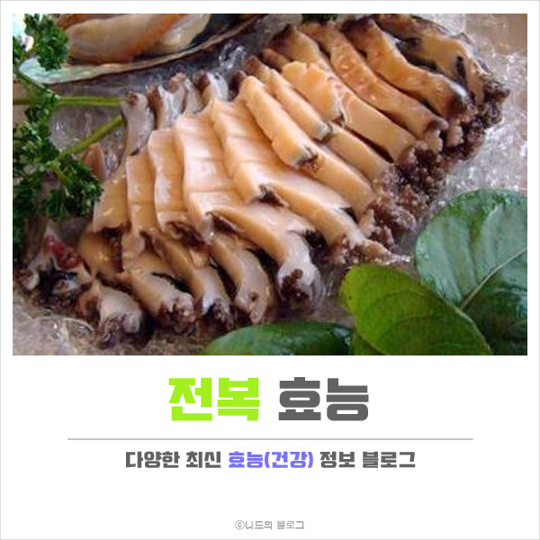  전복 효능 정리