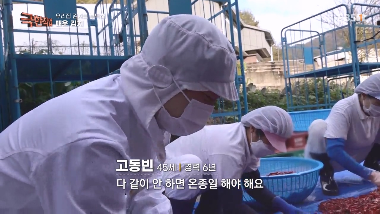 TV - 전 국민의 평생학교 EBS우리 집 김치를 부탁해.mp4_20231228_201217.169.jpg
