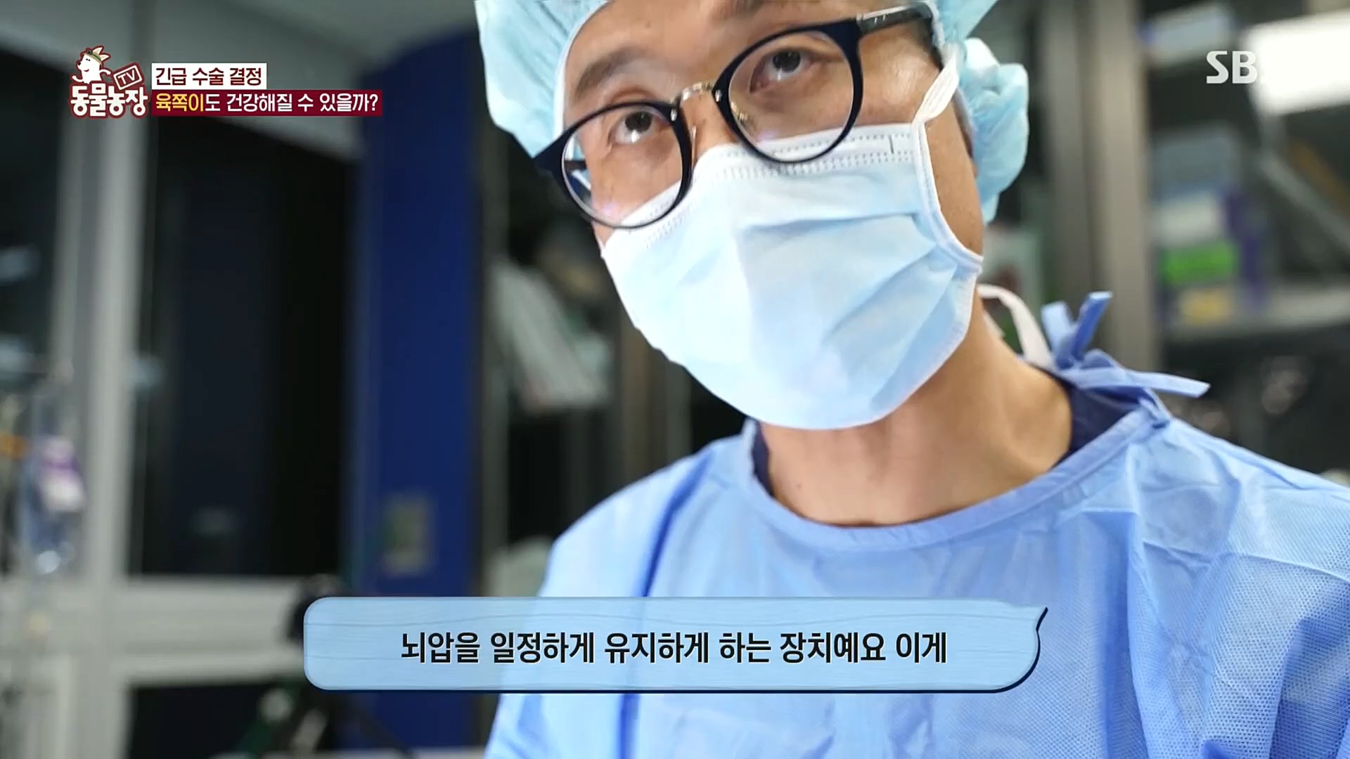 TV 동물농장.E1100.221218p.H264-F1RST.mp4_20221218_183454.661.jpg