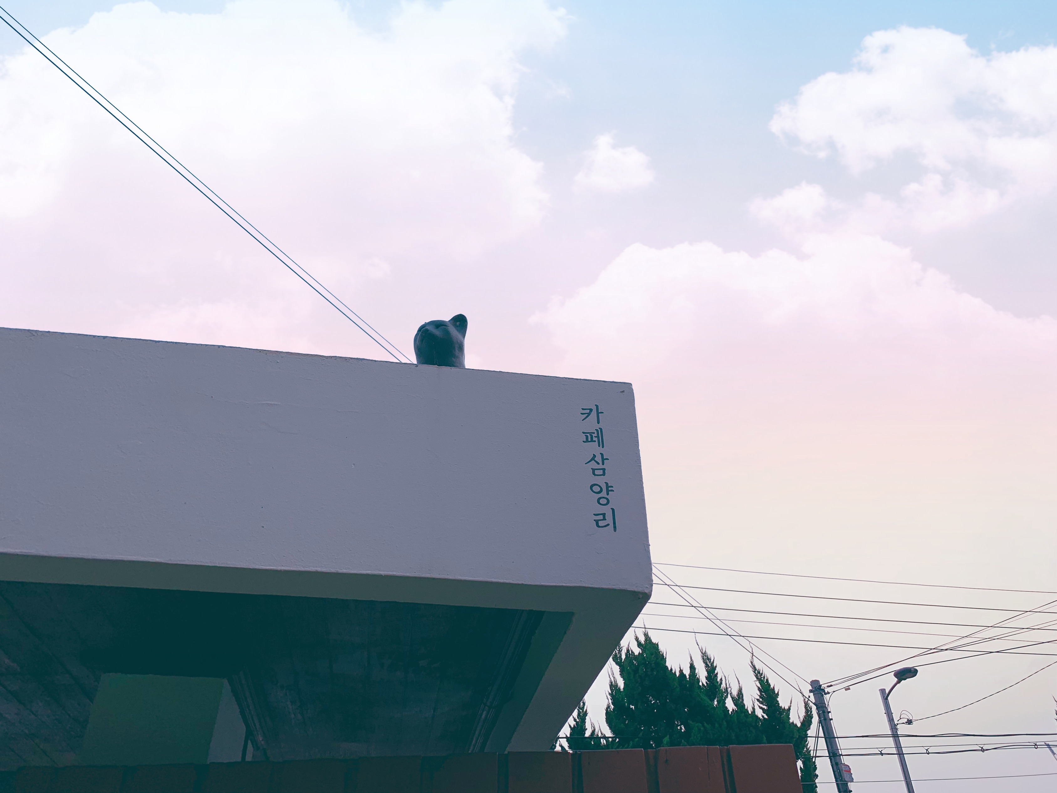  그리고, 카페삼양리