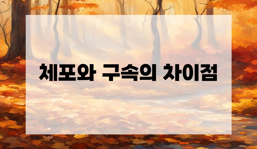 체포와 구속의 차이점