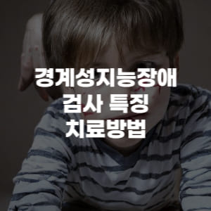 경계성지능장애 검사 특징 치료방법