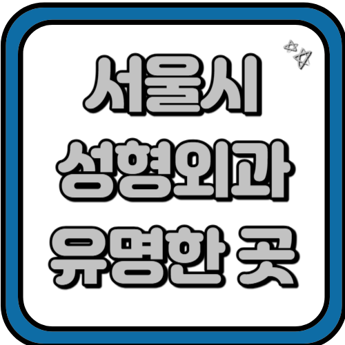 서울 성형외과 병원 유명한곳 추천 TOP 3