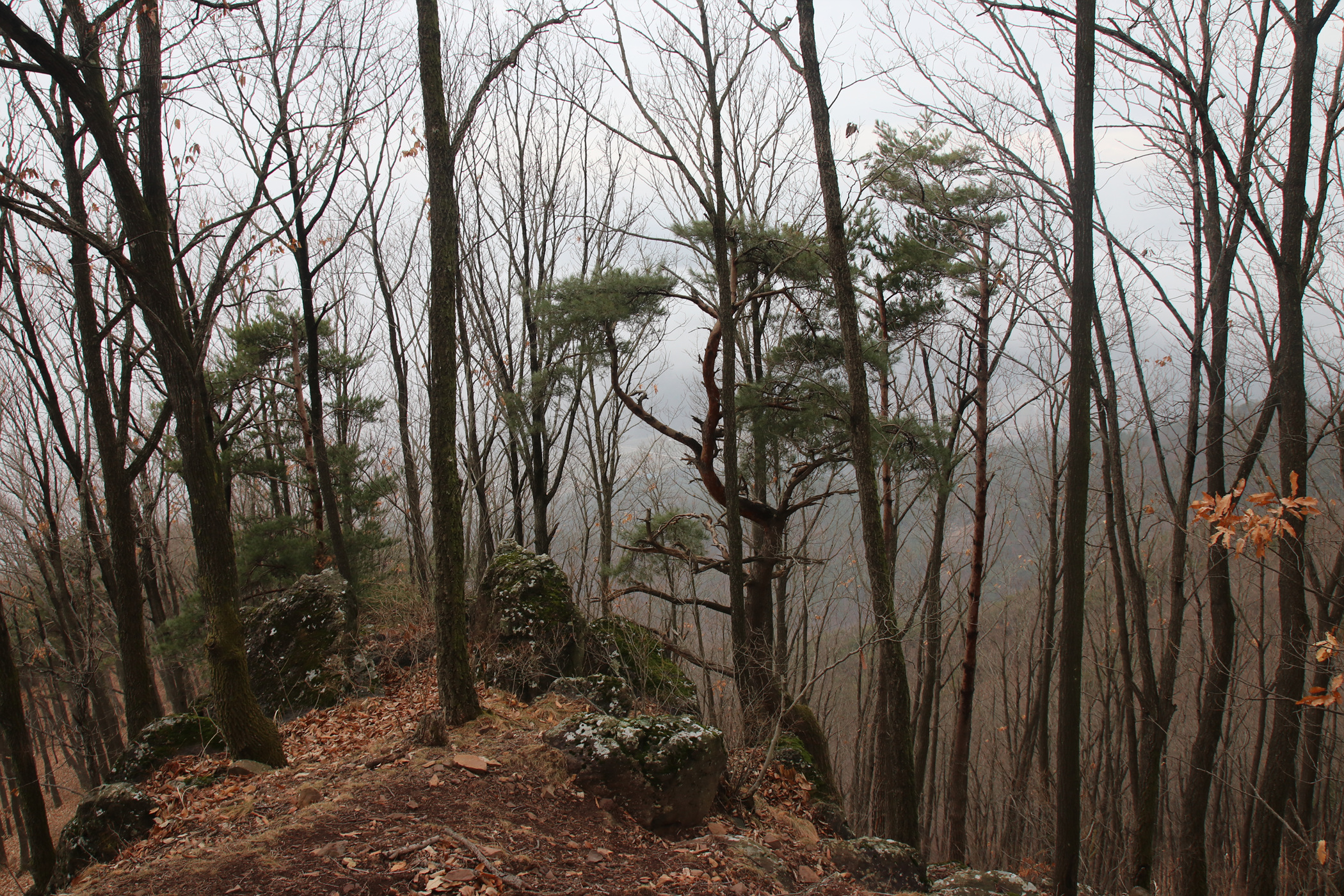 경남 의령군 국사봉 05 21