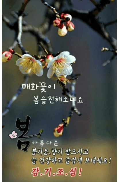 나이엔 졸업이 없고 즐거움엔 정년이 17