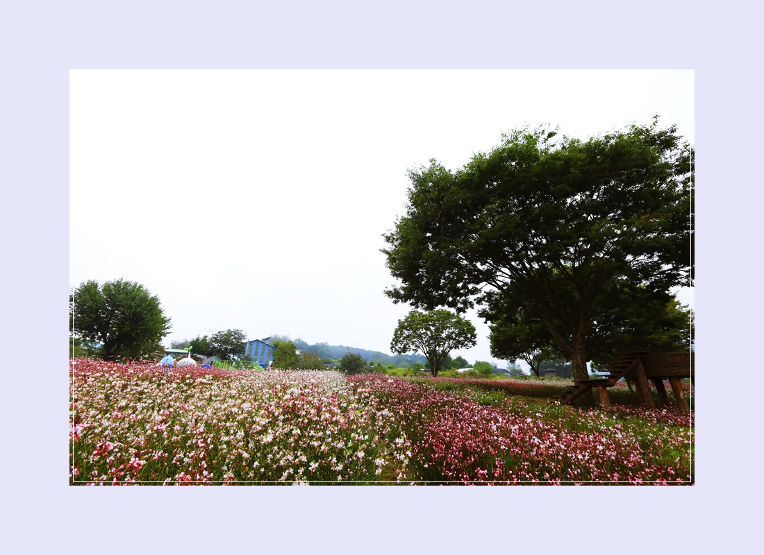 도담행복마을 이미지