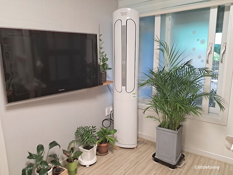 티비와 식물 사이 스탠드형 에어컨이 설치되어 있다