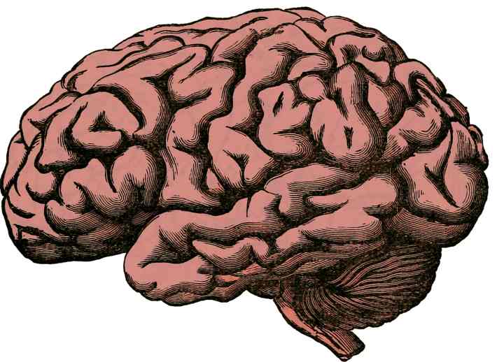 stroke-뇌졸중