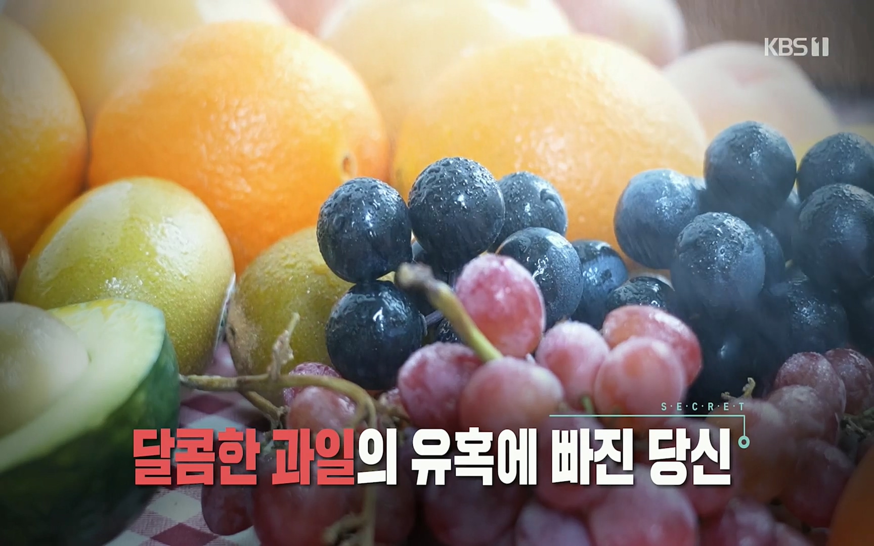생로병사의 비밀.E829.220803p.H264-F1RST.mp4_20220804_202136.493.jpg