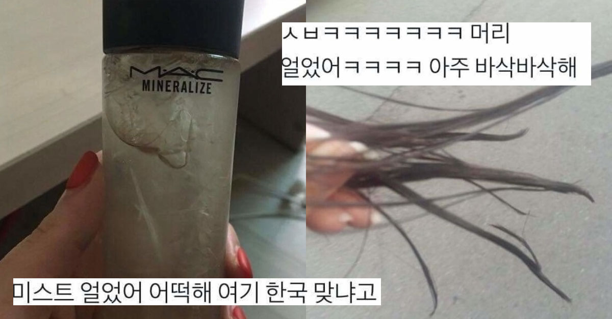  2018년 겨울이 얼마나 추웠는지 체감해보기