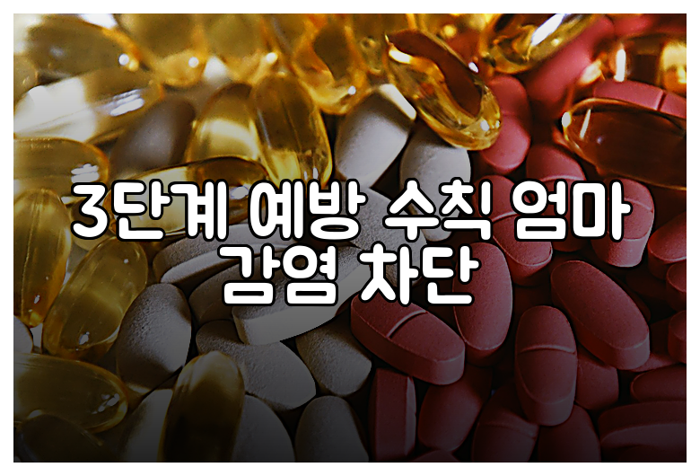 3단계 예방 수칙 엄마 감염 차단