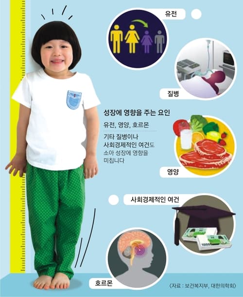 대안적 성장 방법 사진