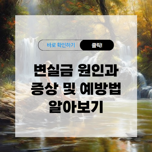변실금 원인과 증상 및 예방법 알아보기