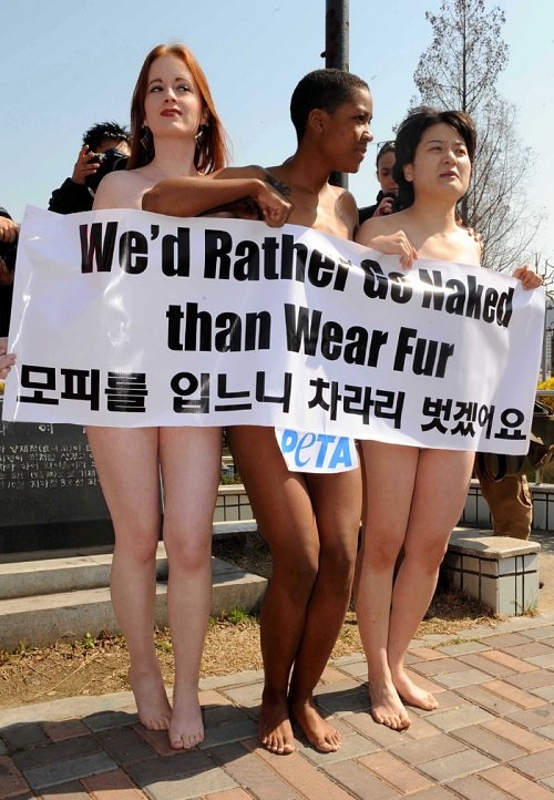  동물애호가들의 동물 보호를 위한 누드 시위