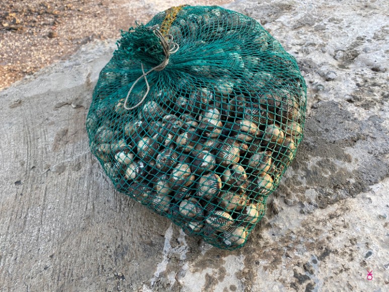 가고싶은 섬 가고싶은섬, 꼬막길과 뻘배길이 7