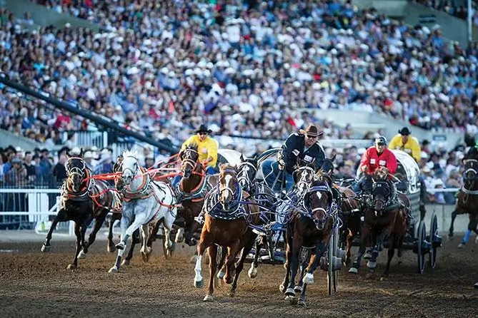 캘거리 스탬피드 Calgary Stampede (source: www.viator.com/)
