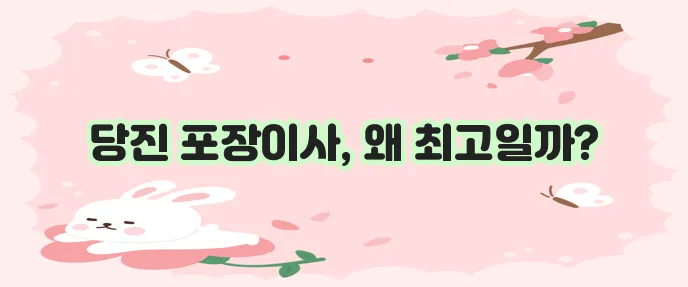 당진 포장이사는 역시 여기가 최고입니다!