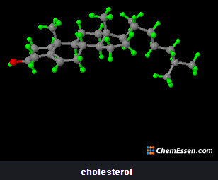 콜레스테롤 3차원 분자 구조