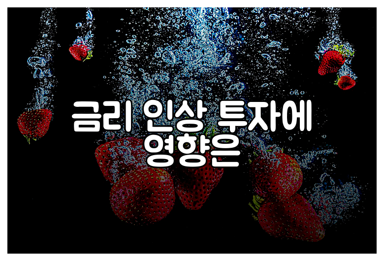 금리 인상 투자에 영향은