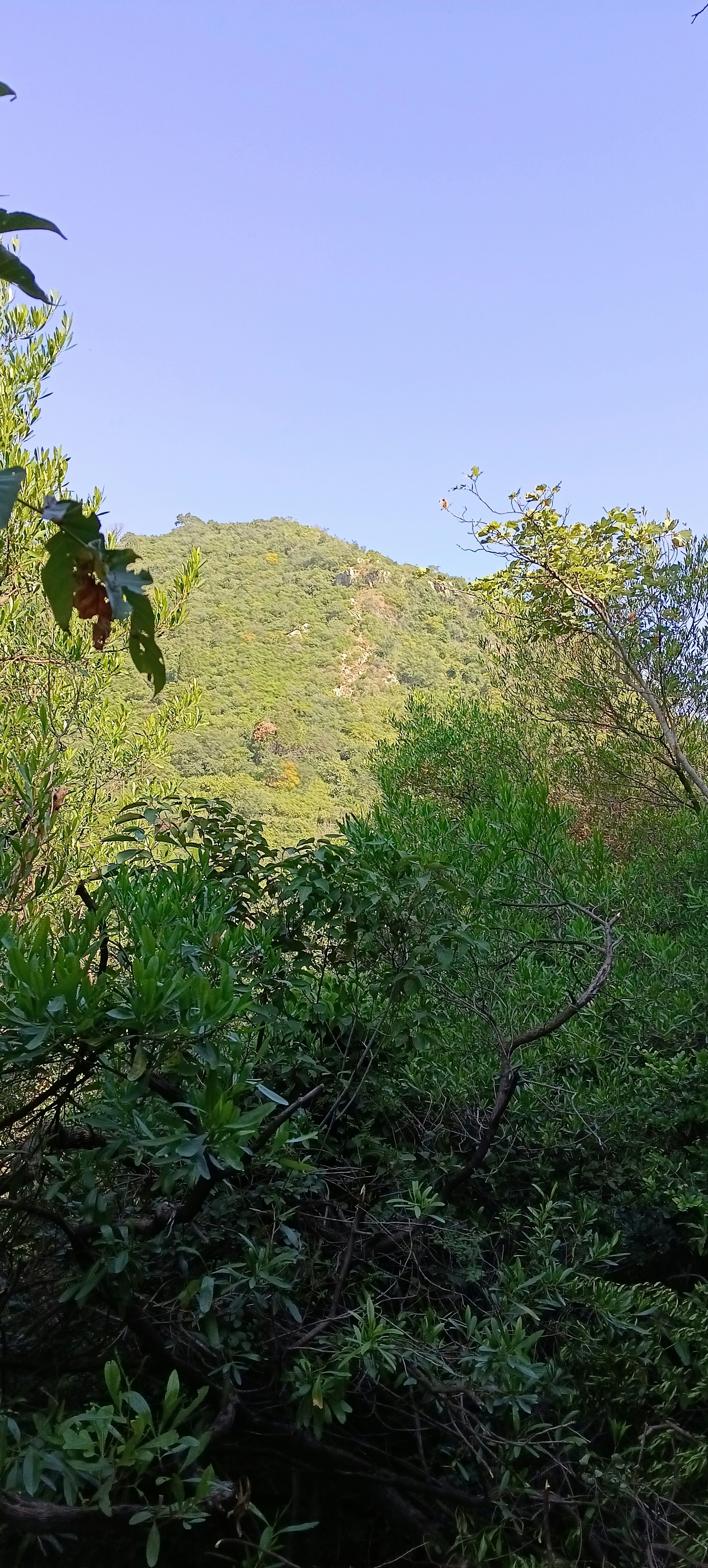 화담숲 예약하기 홈페이지 개정판