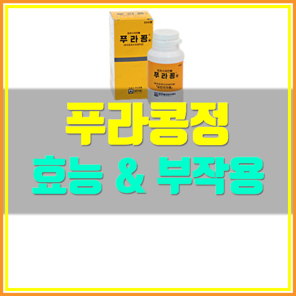  푸라콩정 효능 부작용