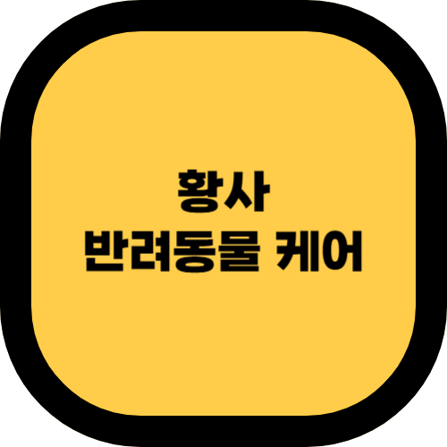 반려동물을 위한 황사 대비 방법 🐶🐱