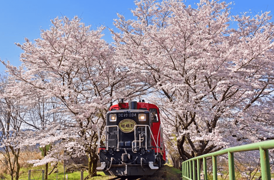 사가노 토롯코 열차