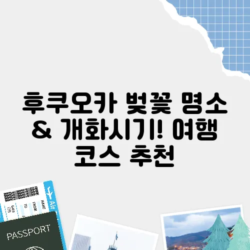 후쿠오카 벚꽃 명소 & 개화시기! 여행 코스 추천