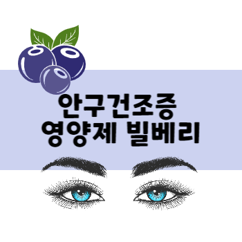 안구건조증에 좋은 빌베리