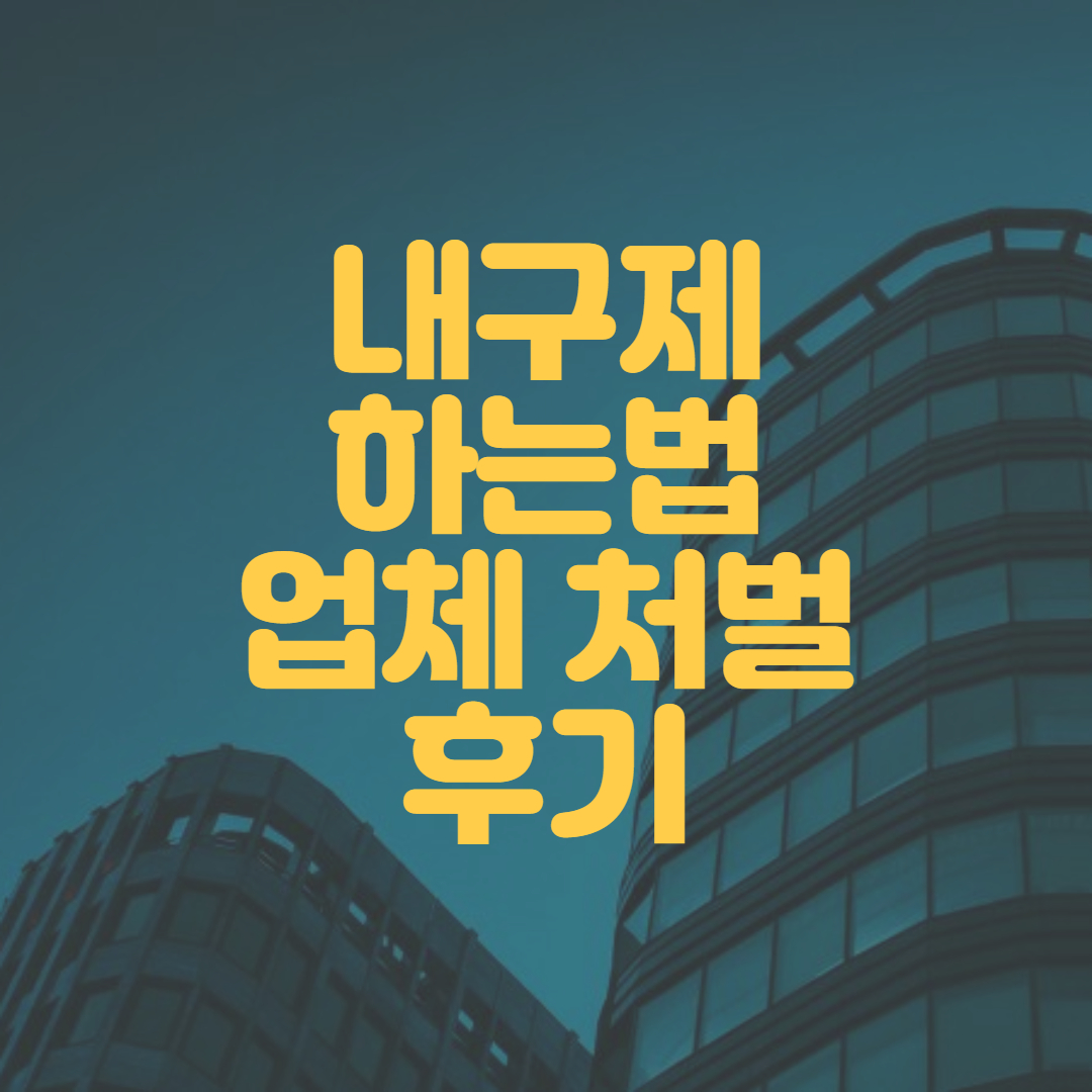 내구제 대출 하는법 1 내구제 하는법 업체 처벌 후기 1