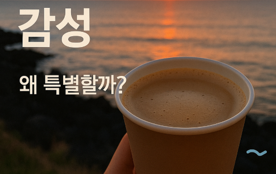 제주도 카페거리 추천💙 감성 가득 애월 핫플 총정리!