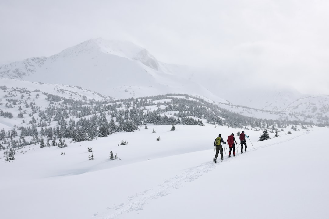 Ski stance.