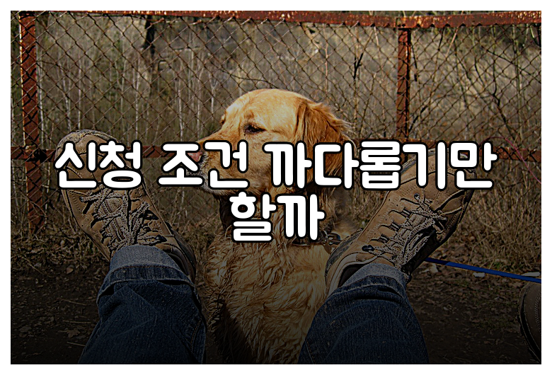 신청 조건 까다롭기만 할까