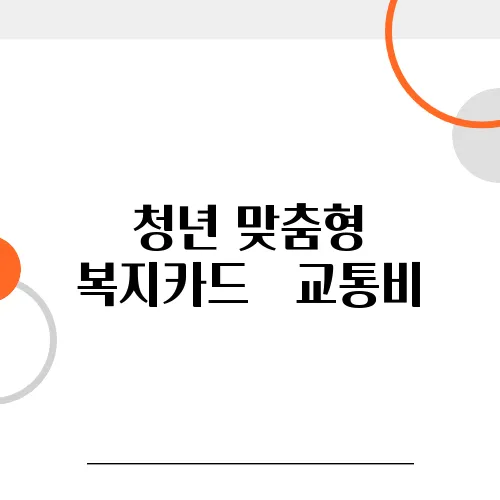 청년 맞춤형 복지카드 – 교통비, 문화생활 할인 혜택