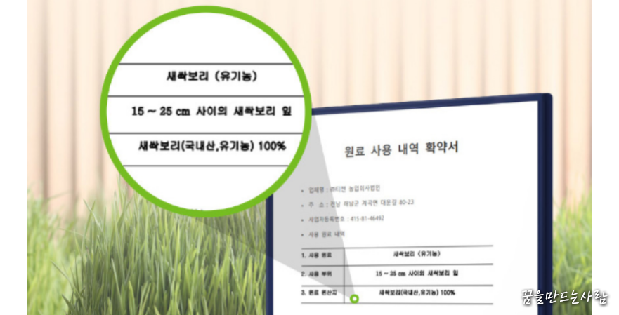 새싹보리분말 12