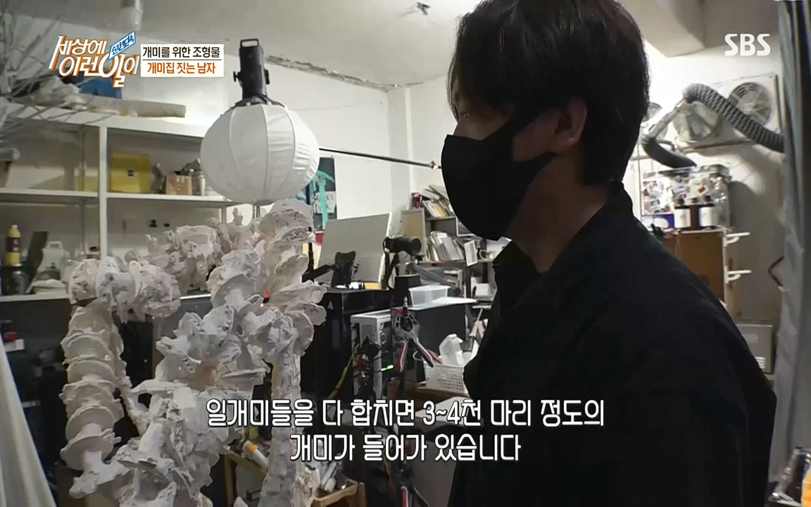 순간포착 세상에 이런일이.E1193.220816.H265p-BULDU.mp4_20220817_204240.031.jpg