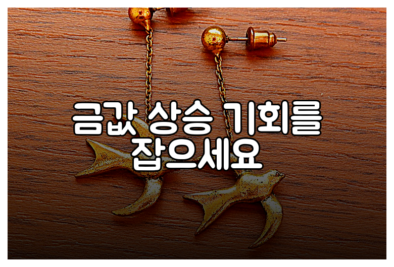 금값 상승 기회를 잡으세요