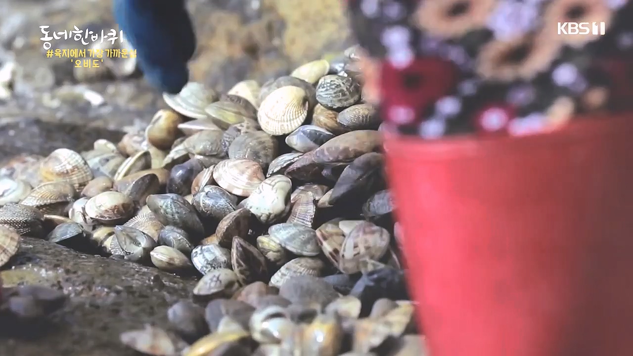 동네 한 바퀴.E243.231015p-NEXT.mp4_20231015_183704.684.jpg