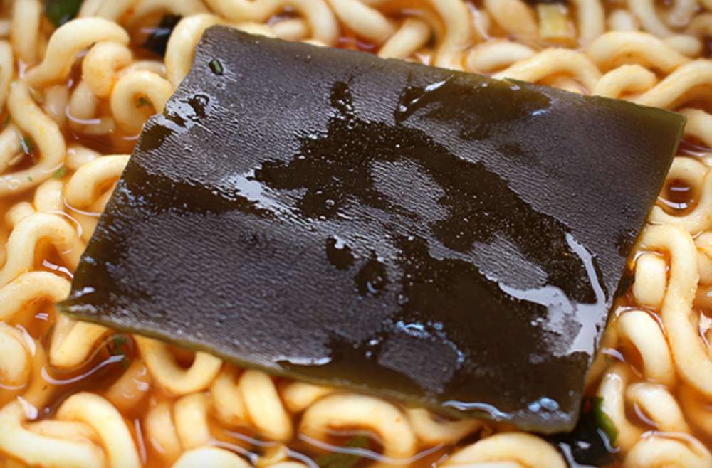  치질과 다시마 (feat. 치질 수술과정)