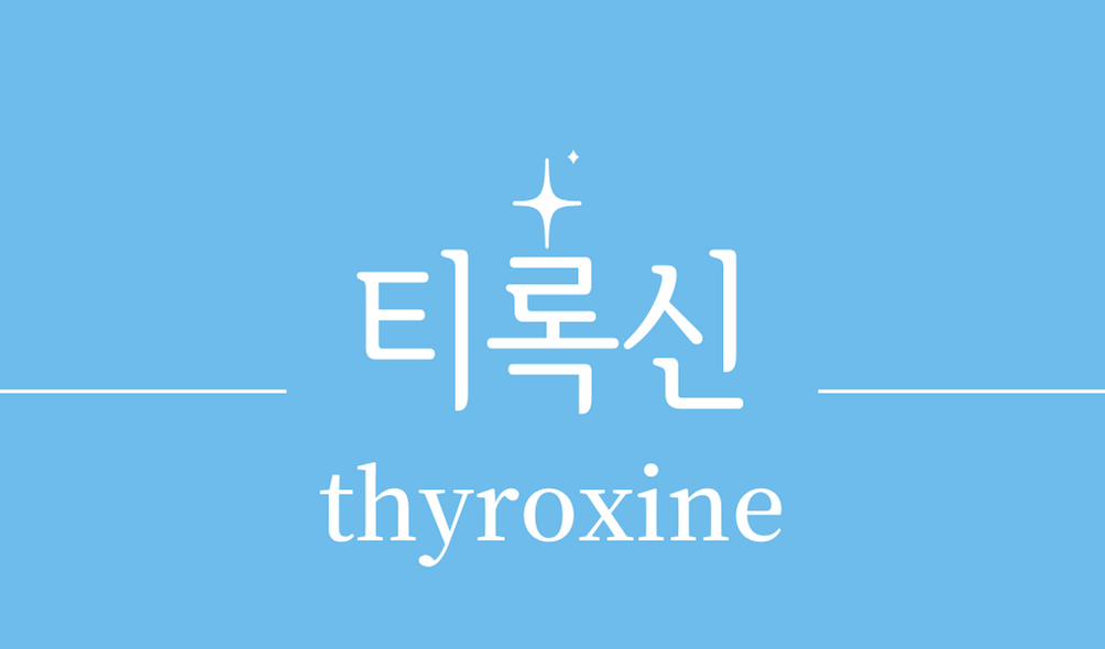 &#39;티록신(thyroxine)&#39;