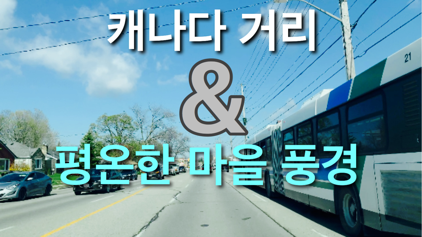  캐나다 거리와 평온한 마을 풍경 드라이브