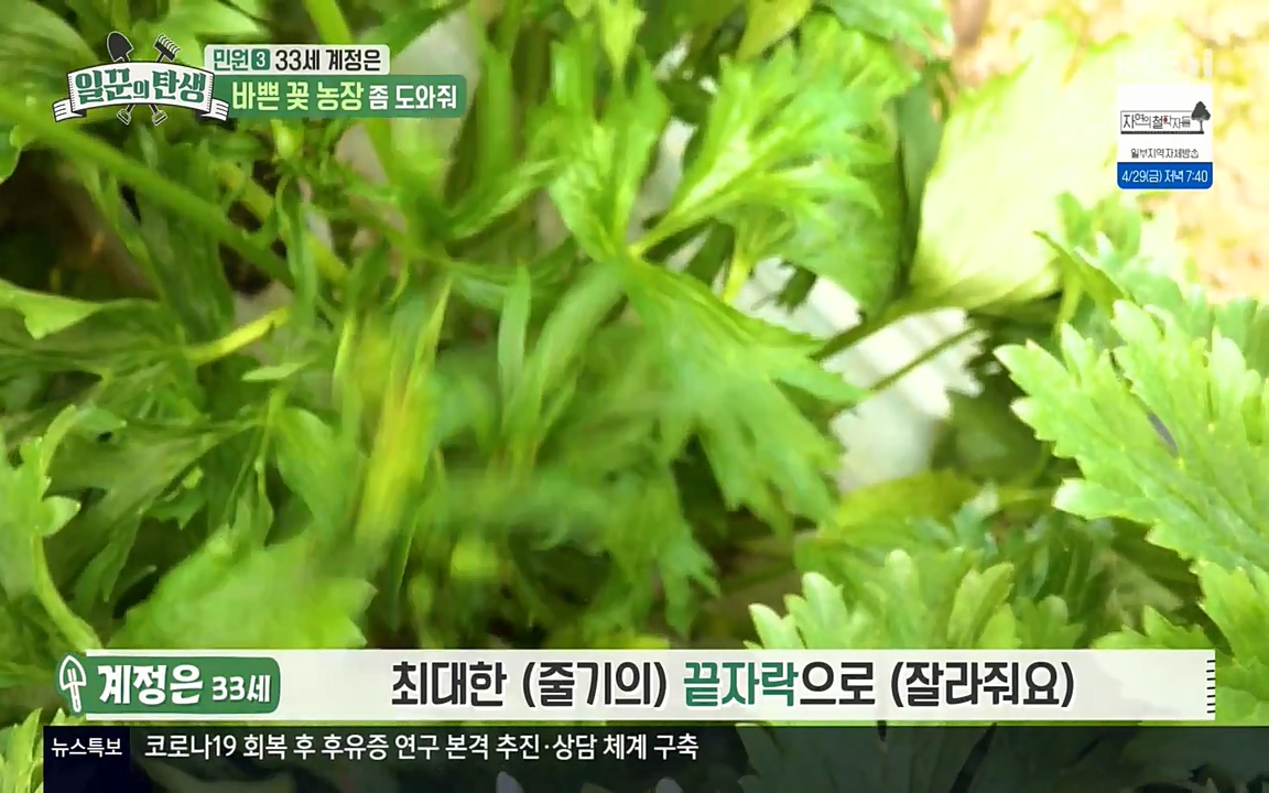 일꾼의 탄생.E21.220428p-NEXT.mp4_20220428_182229.104.jpg