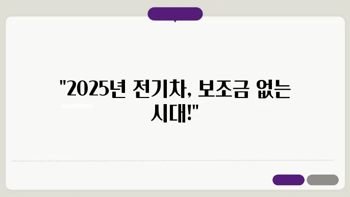 2025년 보조금 없을 전기차 구매를 위한 정보