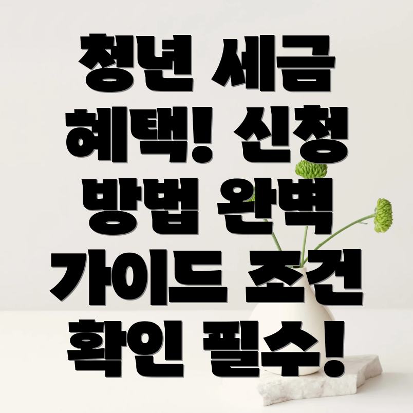 중소기업 청년 소득세 감면