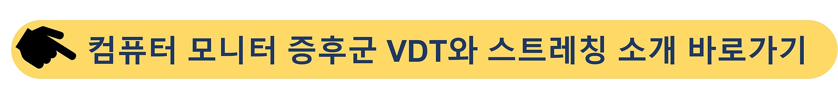 컴퓨터모니터증후군-VDT