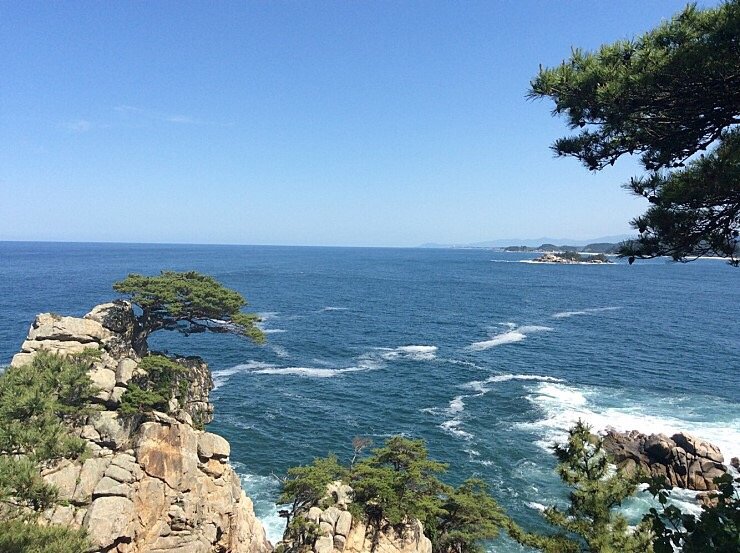  양양 하조대&먹거리