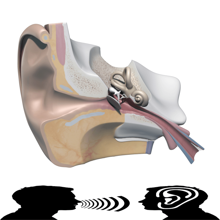 이명 증상 원인과 예방법