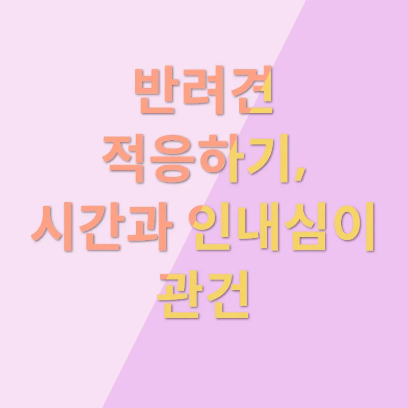 반려견 입양_3
