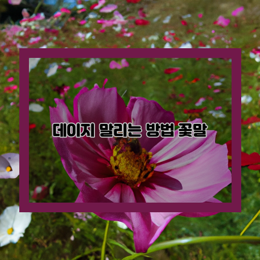  데이지 말리는 방법, 꽃말에 대한 모든 것