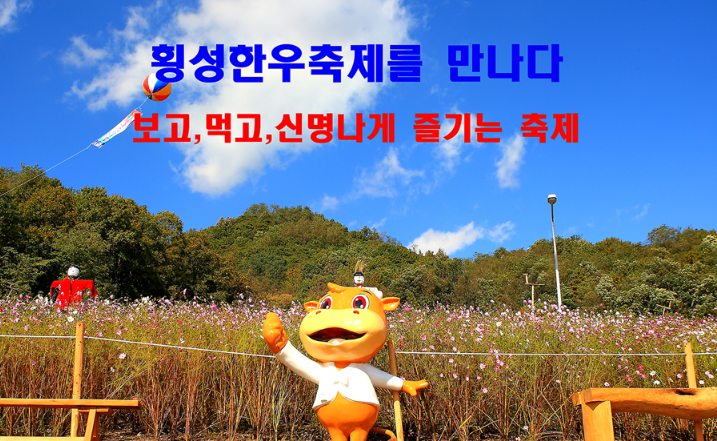 횡성 한우 축제입니다.